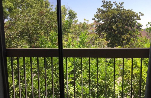Downtown Apartment | 5. Outstanding Apt 2-bd, 2Bath, Tree-top views