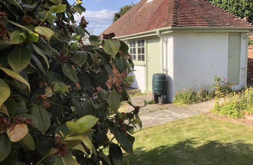 Hordle Cottage | A beautiful cottage in the heart of the New Forest and a short drive to beaches