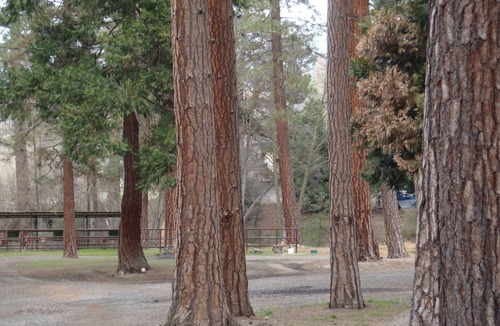 California Hot Springs Cabin | A little piece of heaven