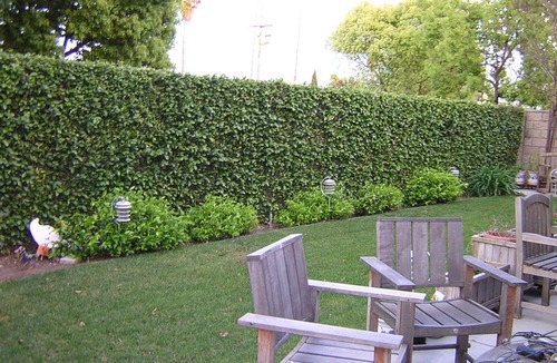 Anaheim Colony Historic District House | A Magical Place ~ The Anaheim House ~ New Listing