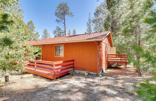 Idyllwild Apartment | Across From Hiking Trails: Woodsy Studio!