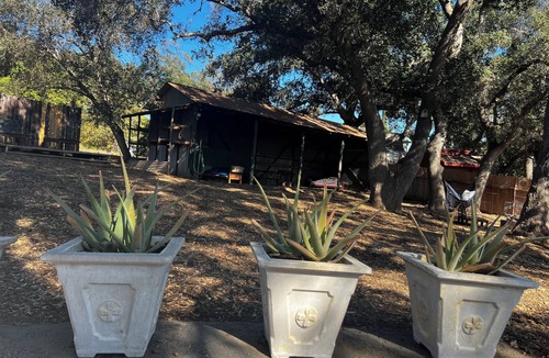 Meiners Oaks House | Adorable space with entertainment barn