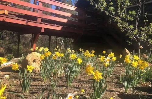Idyllwild Cabin | Ahwahnee-be Vintage Cabin - Three blocks to town!