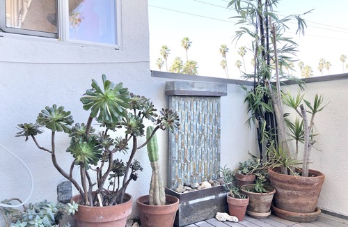 Wilshire Montana Apartment | Airy Spacious Bright Top Floor Views. Walk2 Eats Beach Downtown Medical+Hospital