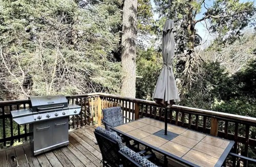 Arrowhead Villas Cabin | Among the Pines + BBQ & 2 Patios + Incredible View