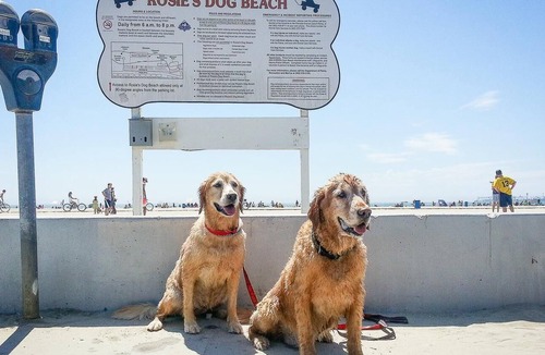 Belmont Shore House | Beach House Parking A/C Dogs Ok