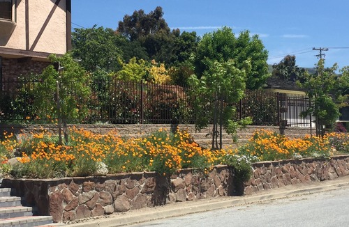 Noble Apartment | Beautiful setting, peaceful. Ground floor unit near historic Alum Rock Park.