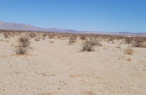Twentynine Palms RV Rental | Beautiful Stars & Moon view. Camping site