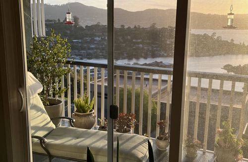 Belvedere Tiburon Apartment | Beautiful Tiburon Apartment with pool. Minutes from San Francisco & Attractions
