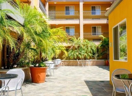 Tree Section Hotel | BEST WESTERN PLUS Manhattan Beach Hotel