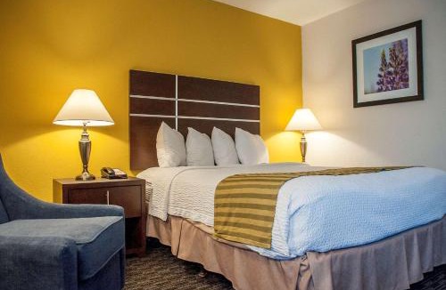 Raisin Hotel | Best Western Village Inn