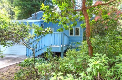 Cazadero House | Blue Cherry! Redwoods! BBQ Grill! Fire Table! Ping Pong! Fast WiFi! Dog Friendly!