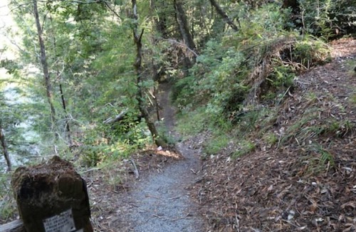 Garberville Apartment | "Blue Heron" Suite River Access In Redwoods WiFi