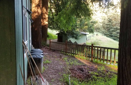 Los Gatos RV Rental | Campsite #11 Enchanted Forest Redwood Mountain Retreat