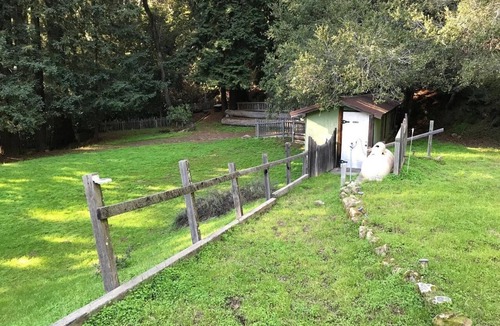 Los Gatos RV Rental | Campsite #11 Enchanted Forest Redwood Mountain Retreat