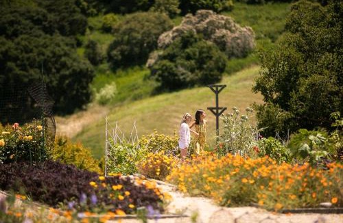 Carmel Resort | Carmel Valley Ranch, in The Unbound Collection by Hyatt
