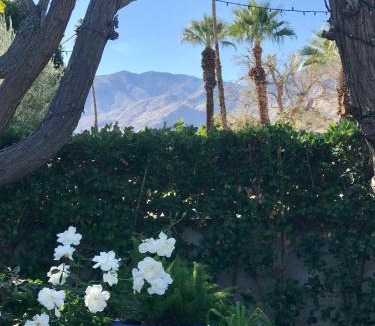 Palm Springs House | Casa De Vito