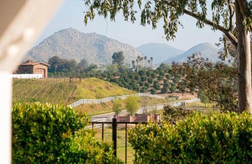 Temecula House | Casa Rosé