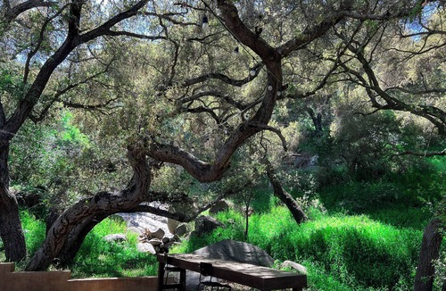 Bonsall House | Casa Rosa - Spacious 2BR, 2BTH Country Retreat