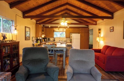 Camp Nelson Cabin | Cedar Pine Cottage - Cozy - Retro - Secluded - Cabin
