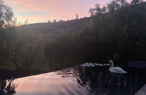 Malibu House | Central Vineyard Heated Pool Hot Tub BBQ Gazebos and Swings (Pet+Child Friendly)