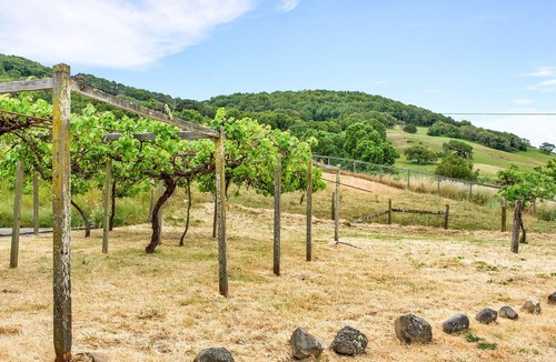 Petaluma House | Cerro Pampa Hacienda Property *Spacious Ranch Home with a Pool