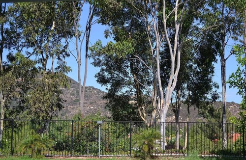 Murrieta House | Charming 3-bedroom house with great mtn view, AC, WIFI, in marvelous Murrieta