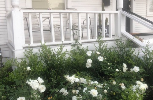 Whittier House | Charming, 3-bedroom house in Whittier with WiFi, AC near restaurants and hiking