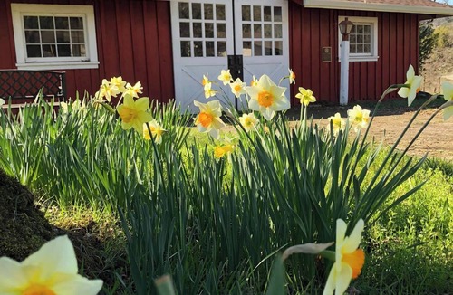 Willits Cottage | Charming Historic Apartment Cottage at Ridgewood Ranch