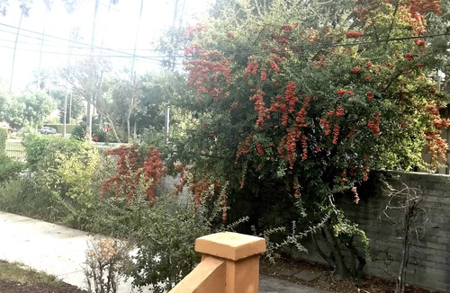 Pasadena House | Charming spanish cottage