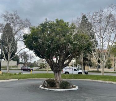 Chino Hotel | Chino Motel
