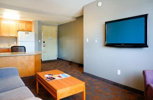 Tree Section Hotel | City Express by Marriott Manhattan Beach