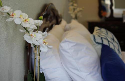 NoHo Arts District Hotel | Colony Inn