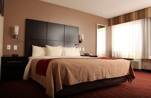 Sunset Junction Hotel | Comfort Inn Los Angeles near Hollywood