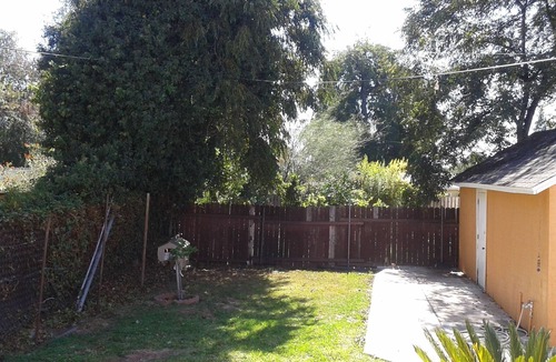 Bungalow Heaven House | Comfortable House with Back Yard In Pasadena California