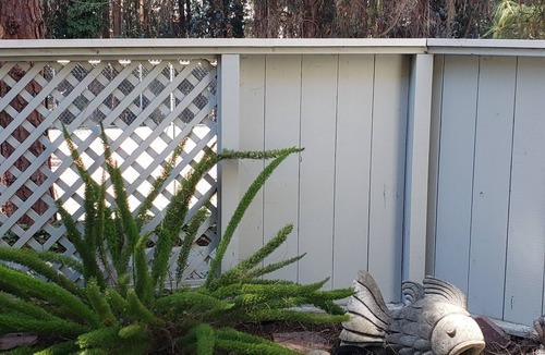 Aptos Condo | Cool condo a mile from New Brighton, two miles from Capitola Beach.