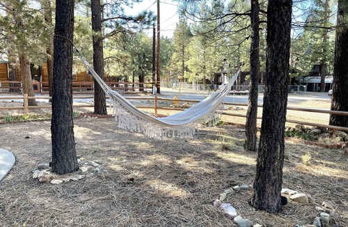Woodlands House | Country Bear Cabin - 10 miles from Big Bear Lake!