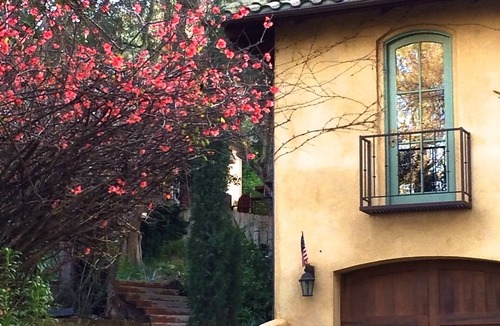 St. Helena Villa | Cozy and Private Hillside Villa in St. Helena