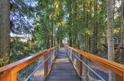 Eureka Cottage | Cozy Dog Friendly Bay Cottage on the Canal, BBQ and private patio