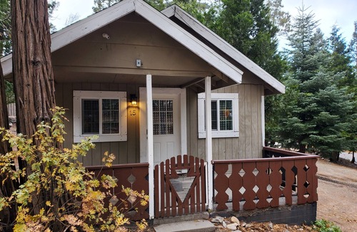 Twin Peaks Cabin | Cozy Haven at The Twin Peaks Lodge