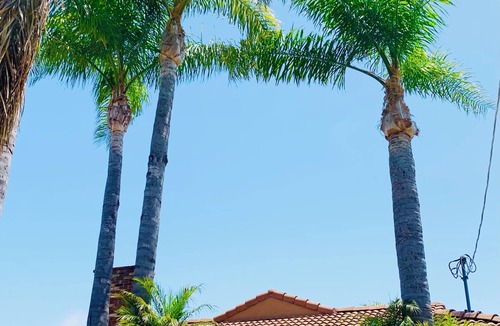 Northwest San Pedro House | Cozy Residential San Pedro Home with Beach Vibes