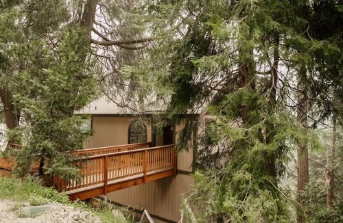 Cedarpines Park House | Cozy & Stylish Modern Mountain Retreat. Dog Friendly! Close to Trails & Lake.