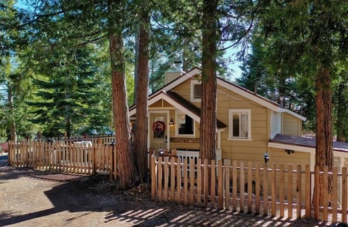 Twin Peaks Cabin | Cutest cottage! Check in 1pm-Check out 1pm! Pet Friendly! Free bottle of wine!