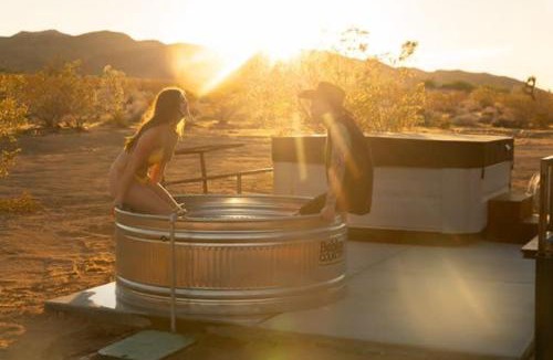 Landers House | Dagger Tree Oasis l Integratron 5Bed and Cowboy Pool