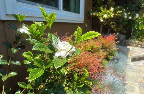 Huntington Beach House | Discounted Extended or Insurance stay. Beautiful stocked home w/Hot tub/Fire pit