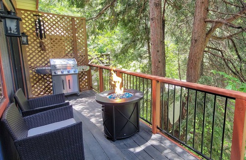 Arrowhead Villas Cabin | Dog-friendly cabin with two decks, fireplace, & gas grill - quiet location