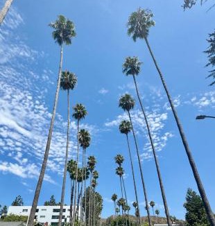 Hollywood Bed & Breakfast | Dresden B & B