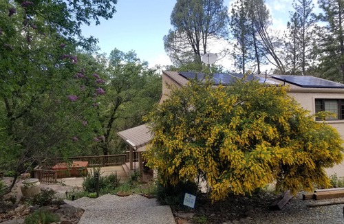 Angels Camp House | Enjoy concerts, wine, beer tasting, shopping or relaxing in town by Angels Creek