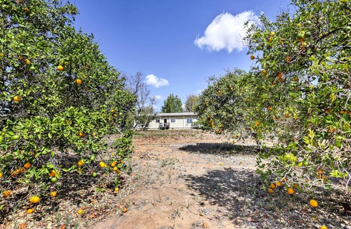 Escondido Cottage | Escondido Vineyard Estate: Walk to Wineries!