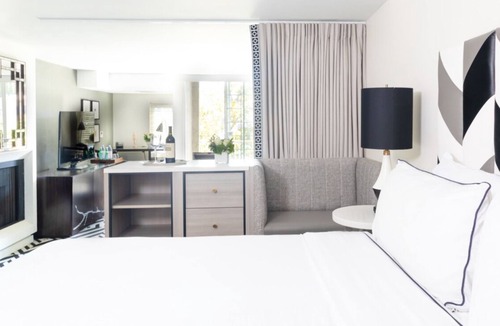 Norma Triangle Hotel | Explore An Exotic Three Unit Stylish Suite with Rooftop Pool! Pet-friendly!